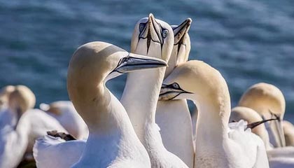 每周股票复盘：九州通（600998）担保总额达291.36亿元占净资产106.95%