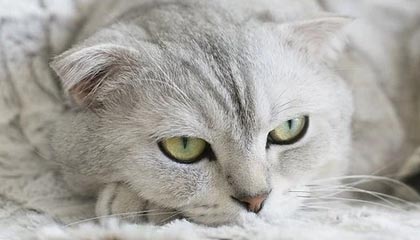 宁波港收盘下跌1.38%，滚动市盈率14.07倍，总市值696.47亿元