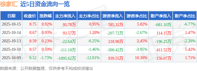 股票行情快报：徐家汇（002561）10月15日主力资金净买入95.78万元