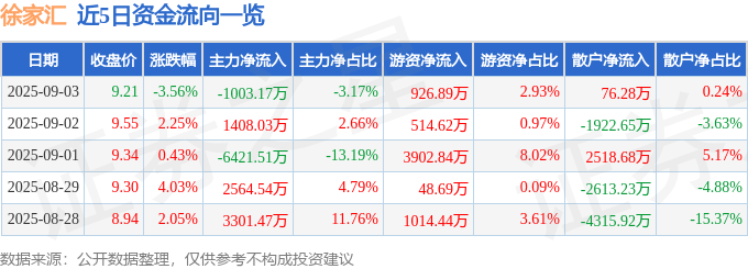 股票行情快报：徐家汇（002561）9月3日主力资金净卖出1003.17万元