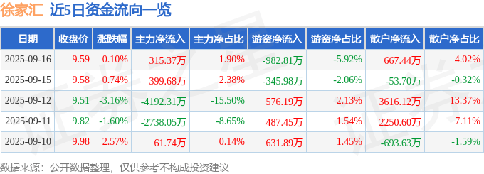 股票行情快报：徐家汇（002561）9月16日主力资金净买入315.37万元
