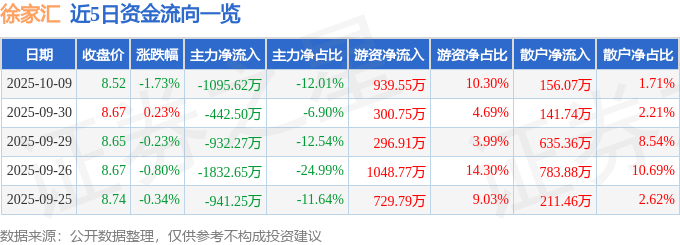股票行情快报：徐家汇（002561）10月9日主力资金净卖出1095.62万元