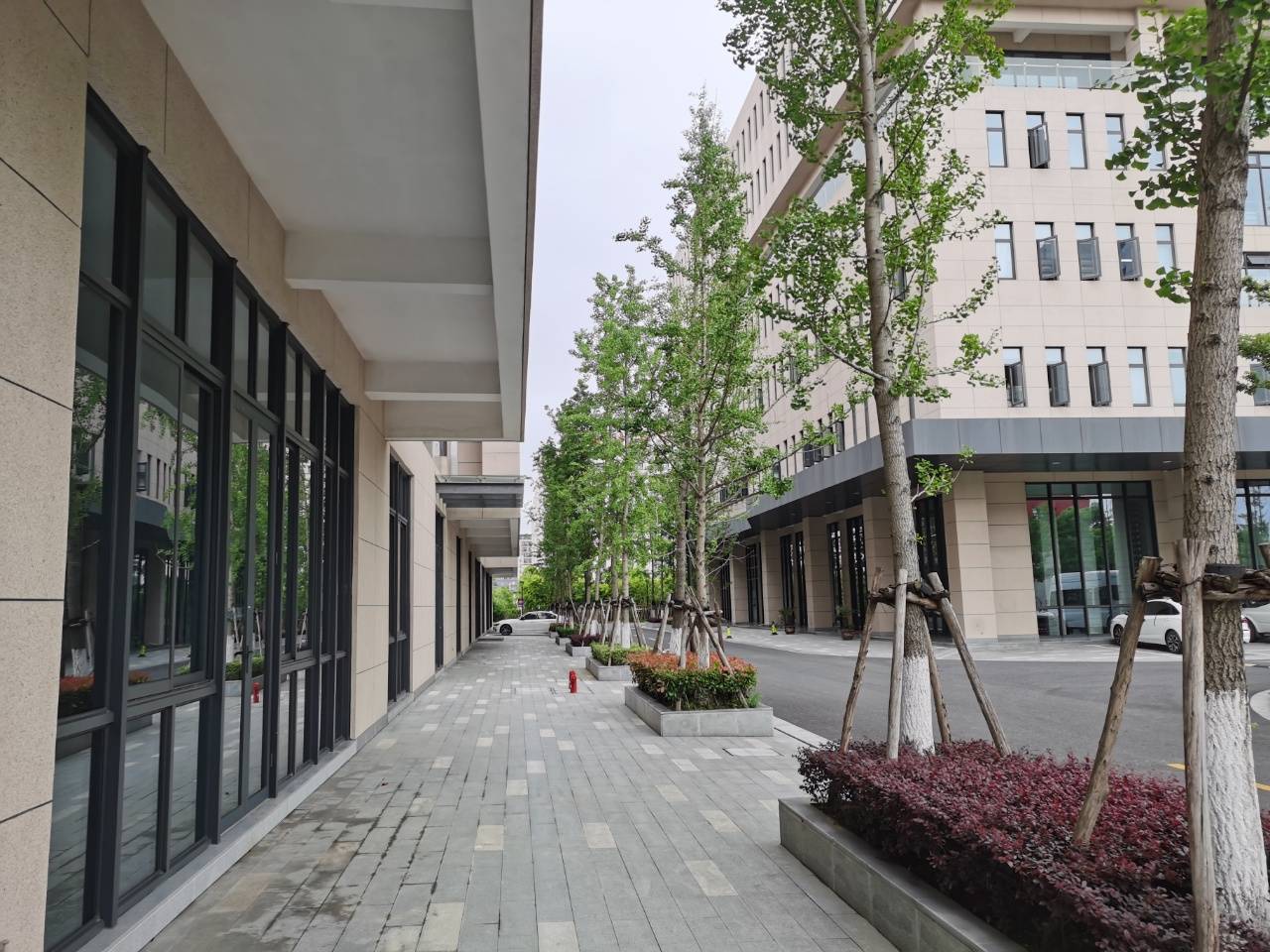 基诺医创园 青黛路800号 张江科学城南部 上海国际医学园区