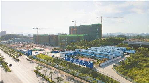 构建国际医学合作的“防城港渠道”