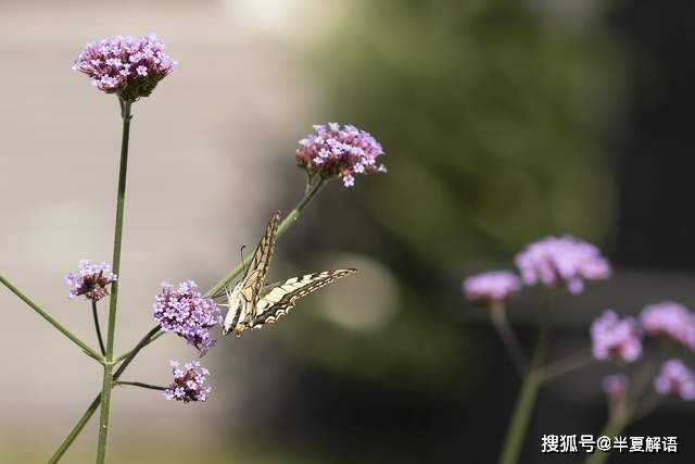 全款给儿子买房，儿子却要求房产证加上儿媳名字，直言儿媳妇没有安全感，不加不生孩子，我该加吗？