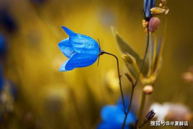 全款给儿子买房，儿子却要求房产证加上儿媳名字，直言儿媳妇没有安全感，不加不生孩子，我该加吗？