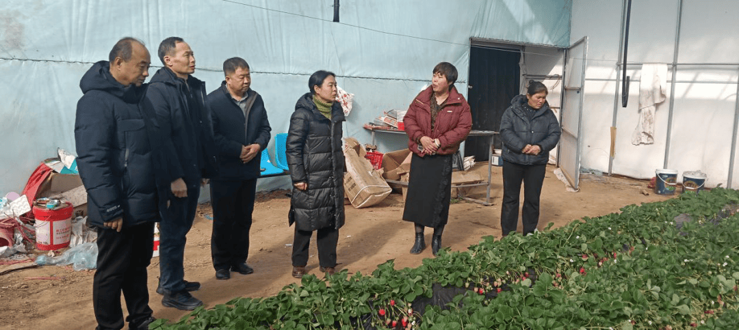 科技特派员送“技”下乡 护航蔬菜冬季安全生产