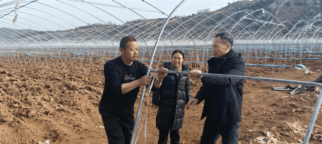 科技特派员送“技”下乡 护航蔬菜冬季安全生产